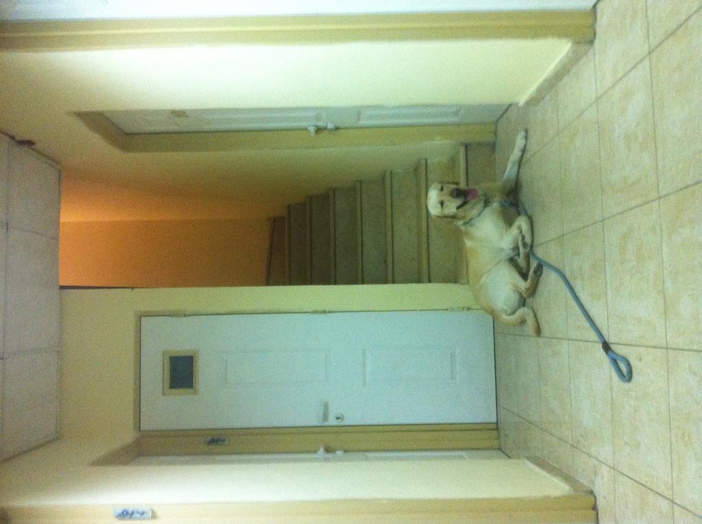Faulty Towers Hotel เอลัต ภายนอก รูปภาพ